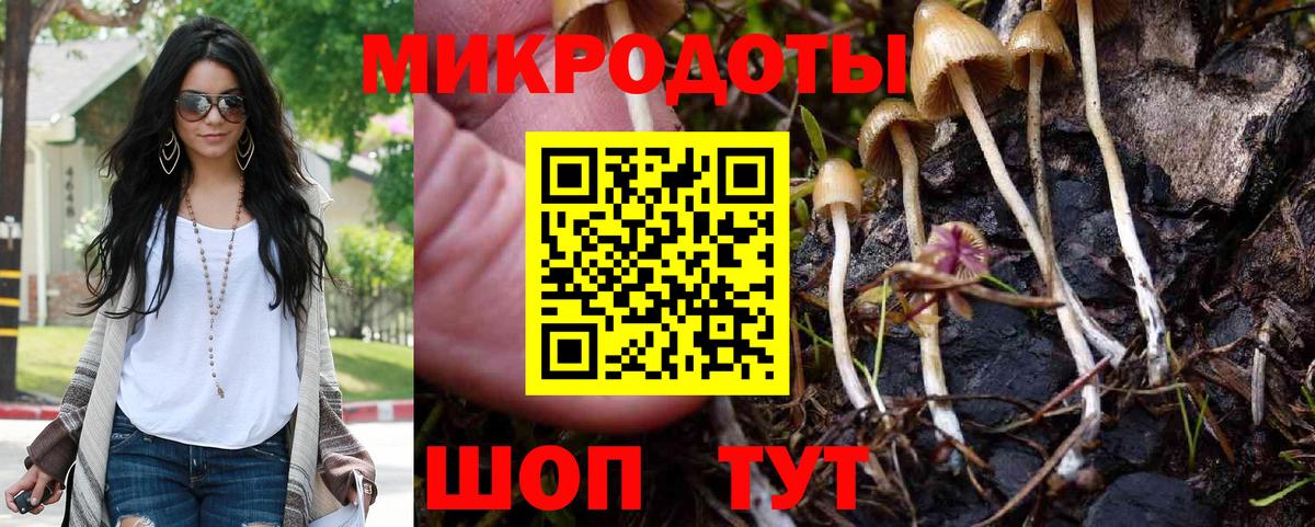 Ленинск-Кузнецкий  Псилоцибиновые грибы Psilocybe  Вход с VPN  Галлюциногенные грибы прущие грибы 